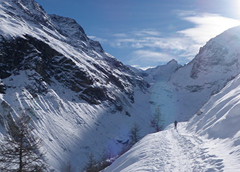 Randonnées en raquettes